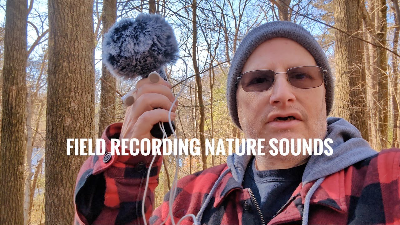 Walk in woods | Field Recording Nature sounds - YouTube