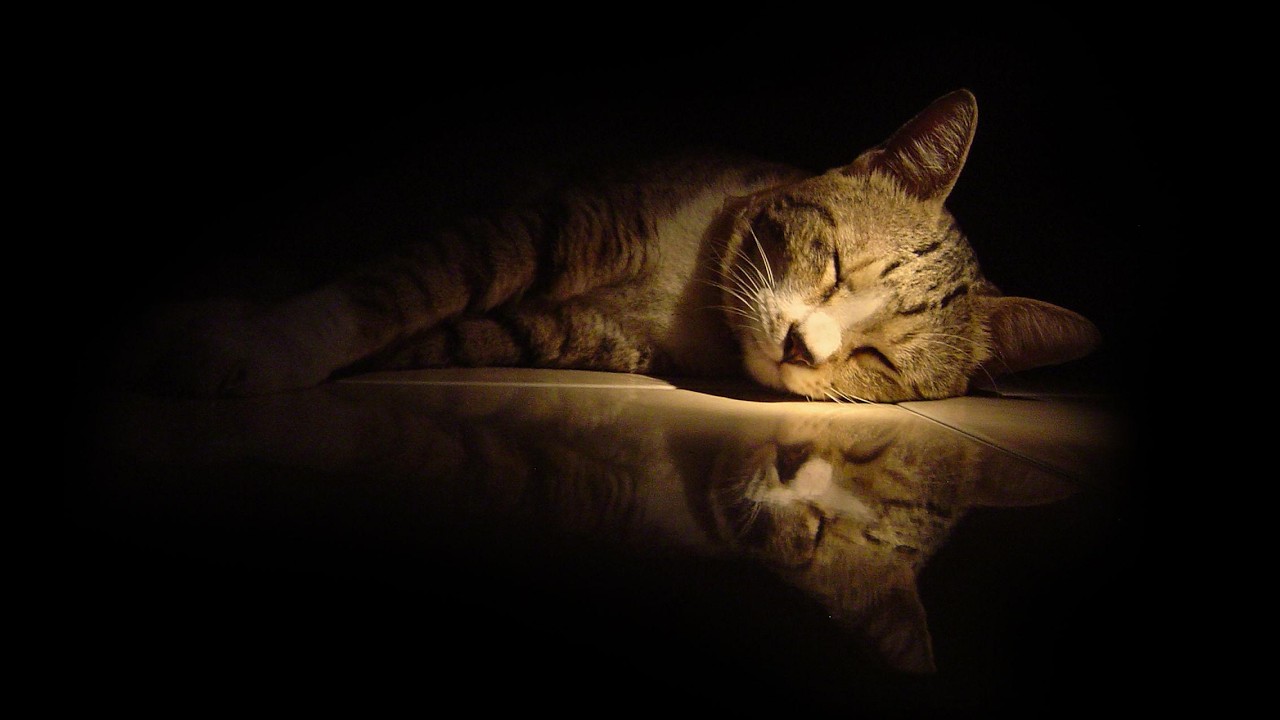 Still Waters, Gentle Night01溫柔夜色中的靜水 🌙 平靜助眠・安心入睡📌  | Gentle Ambient Sleep 🌙 Calm Night Rest