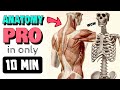  full body anatomy crash course for artists