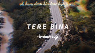 Tere Bina *Indian Lofi* | Oh hum dum bin tere kya jeena . . .