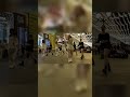 Itzy “Imaginary friend” Dance Cover #itzy #itzymidzy #itzy_imaginaryfriend #kpop #kpopinpublic