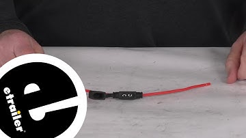 etrailer | Spectro 12-Gauge Mini Fuse Holder Feature Review