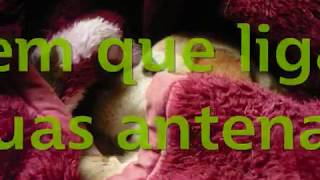 Viver (Teca Calazans)