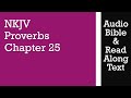 Proverbs 25 NKJV Audio Bible Text