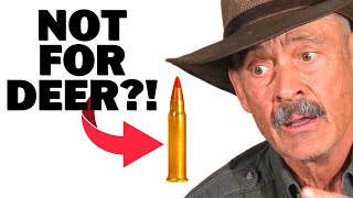 Varmint Rounds For Deer Hunting  How Small Is Too Small?