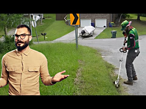 I Started Mowing
