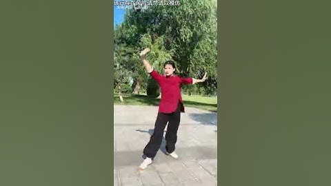 Xing Yi Quan Linking forms 形意拳 - 五行连环拳 Wu Xing Quan