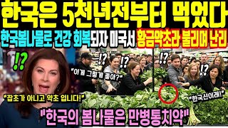 한국의 봄나물은 약초다! 전 세계가 잡초라는데 미국에서 약초로 쓰이자 모조리 쓸어담으며 난리난 상황! 한국인의 봄나물 만병초 만병통치약 해외감동사연 mp4한국의 봄나물은 약초다!