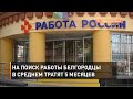 На поиск работы белгородцы в среднем тратят 5 месяцев