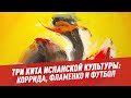 Испанская культура: коррида, фламенко и футбол – Шоу Картаева и Махарадзе