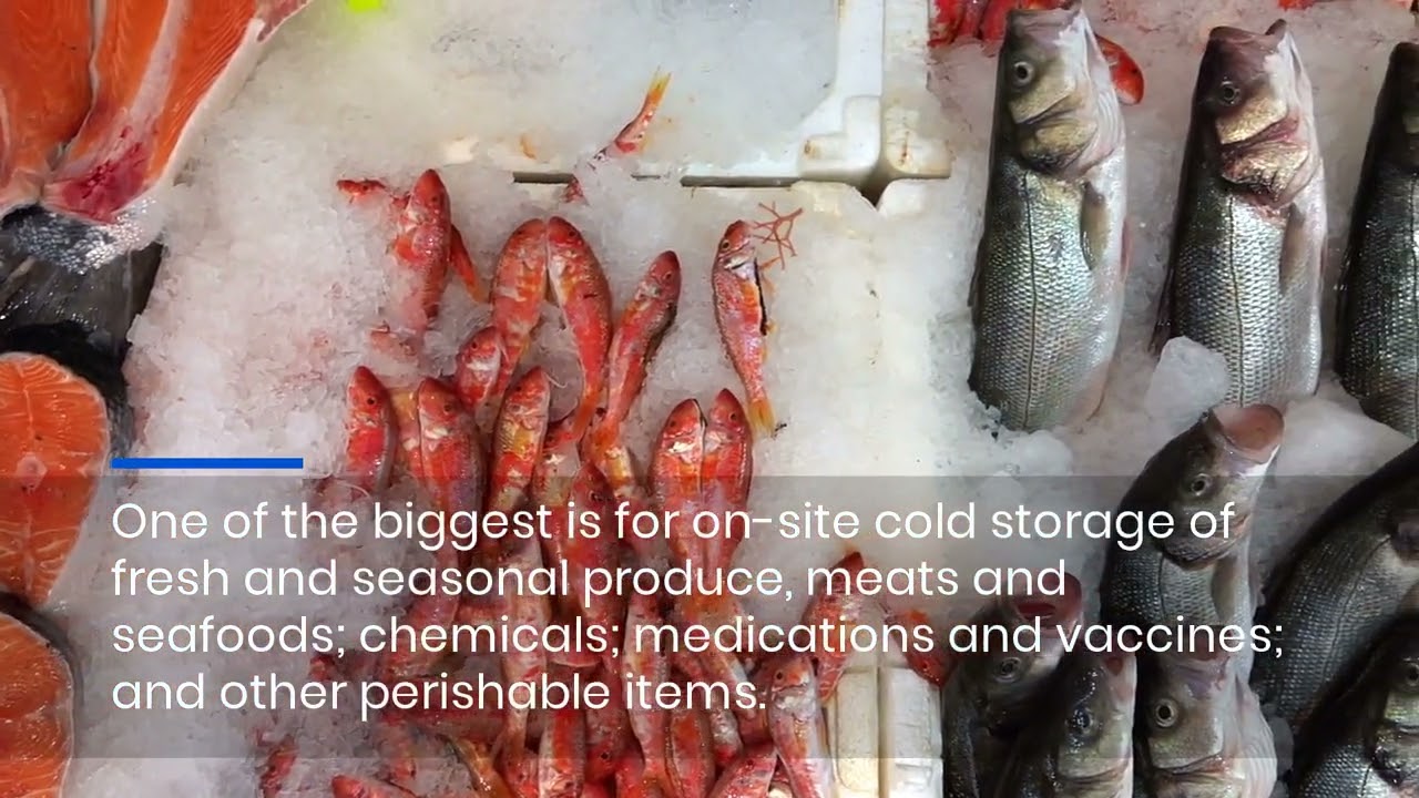 Refrigerated Shipping Containers: Your Seasonal Storage Solution?