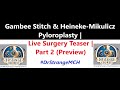 Gambee Stitch &amp; Heineke-Mikulicz Pyloroplasty (VHD) | Live Sx Teaser | Part 2 Preview @juzzchan1