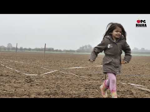 Video: Hidroizolacijski Film Za Streho, Katerega Je Bolje Izbrati In Kako Ga Pravilno Namestiti