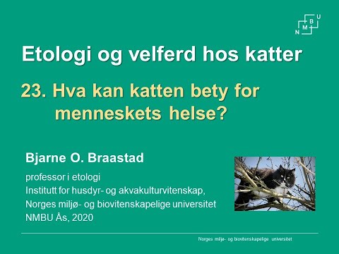 Video: Probiotiske Kosttilskudd For Kattens Helse