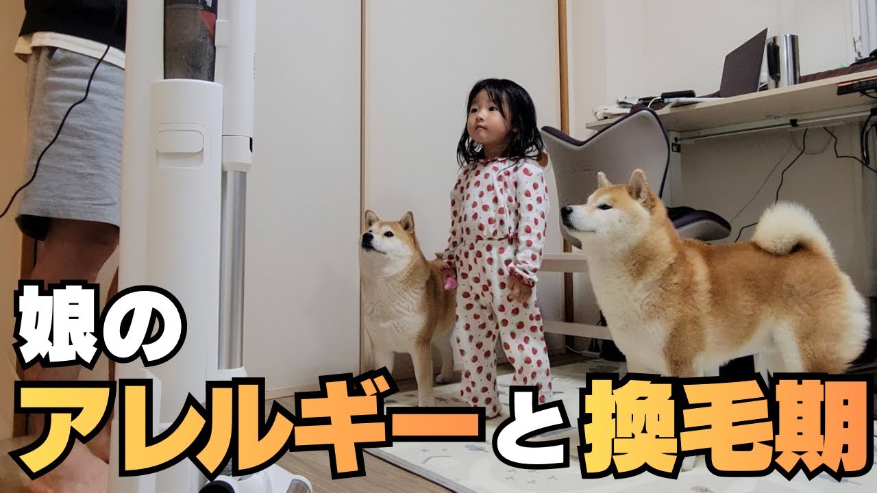 やって来た換毛期始めと、娘にアレルギー症状が出たので病院へ