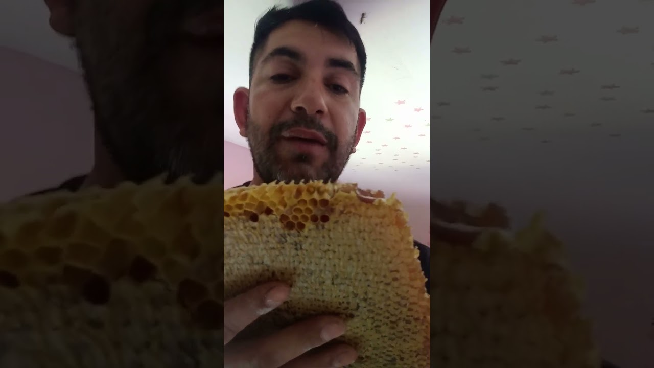 en realidad son 4 y medio o cinco kg hay que dejarle a las abejas su miel