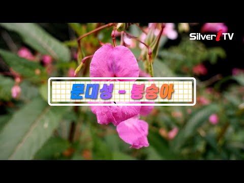 [MV]문대성 - 봉숭아 [트로트 쥬크박스 / 실버아이TV]