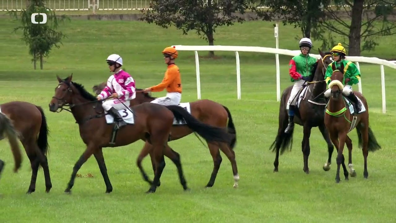 25. 5. 2024 - 8. dostih - CENA SPOLEČNOSTI RMF INVEST