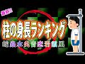【最新版】柱の身長ランキング!【鬼滅の刃】【考察】【犬鳴村】