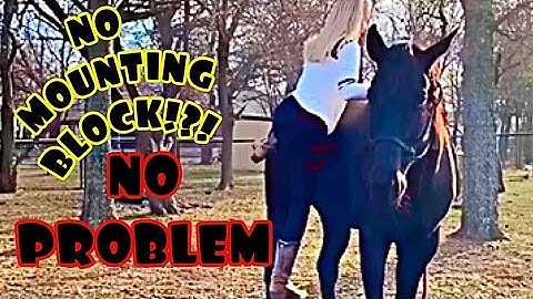 How To Get On A Horse Without A Mounting Block