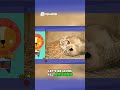 The Lion's Might  Roaring Through the Jungle #AnimalSongs #LionFun #kidsmusic
