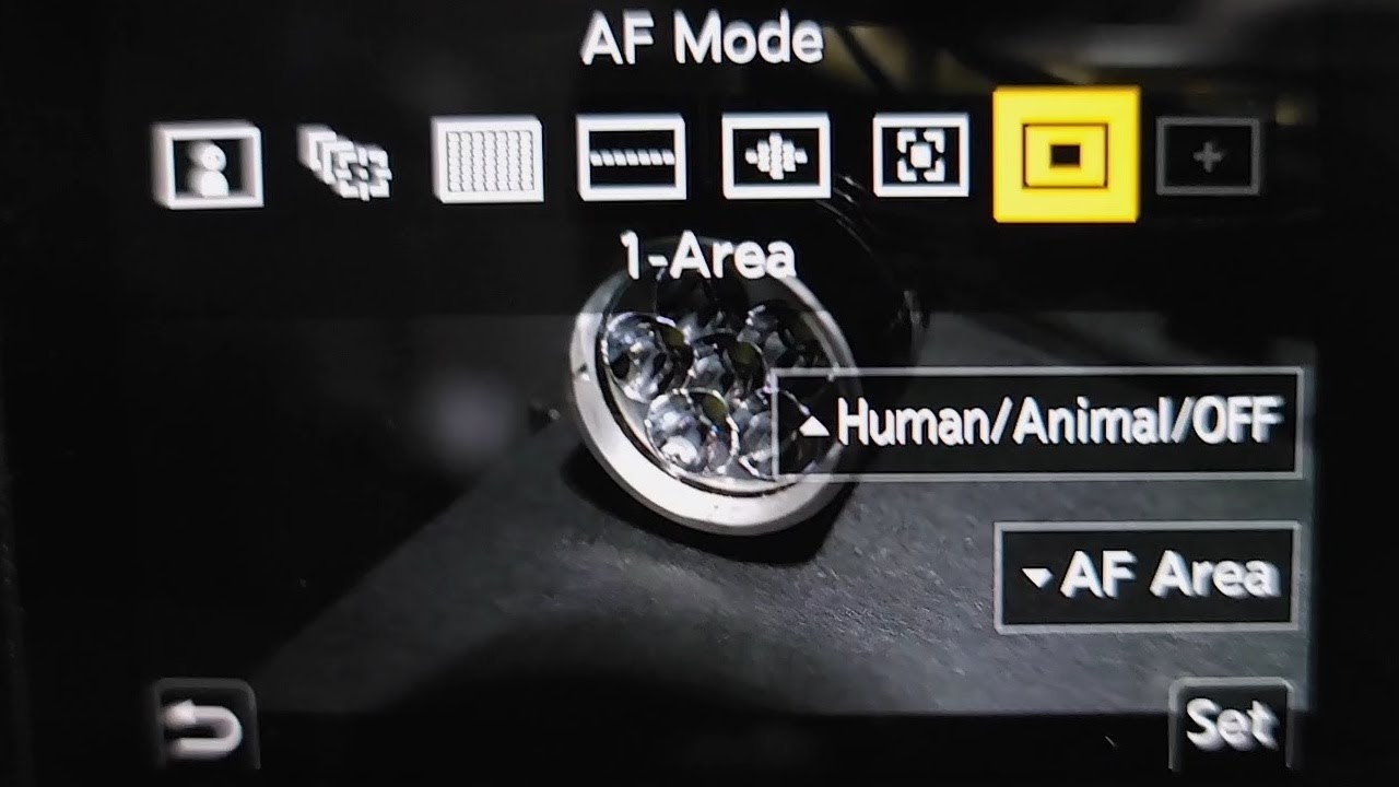 How to setup Panasonic GH5 II (GH5M2) for talking head style video - Beginner Tutorial