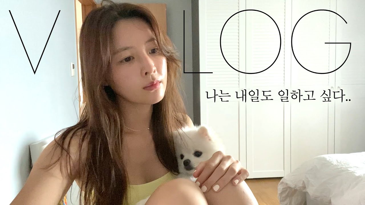 [황아영 VLOG] 요가강사 8년차, 내일도 난 일하고 싶다💛ㅣ새벽수련·타우요가·개인레슨·디어넛츠 촬영·유튜브 회의ㅣI LOVE MY WORK