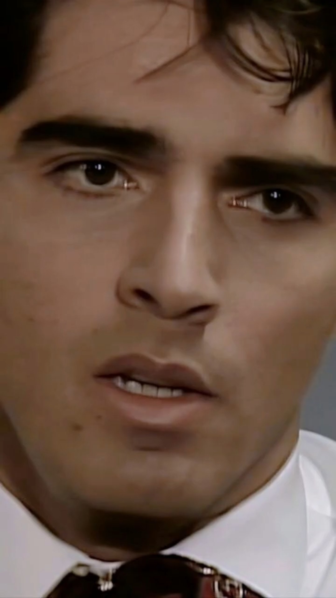 El cucaracho cuando se entera que será padre ? #salomé #tlnovelas