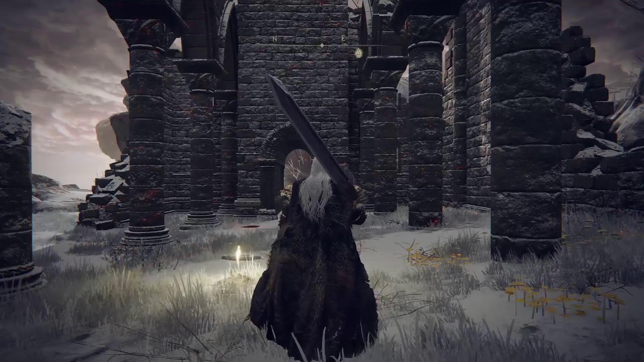 Elden Ring mid game fighting mimic tear