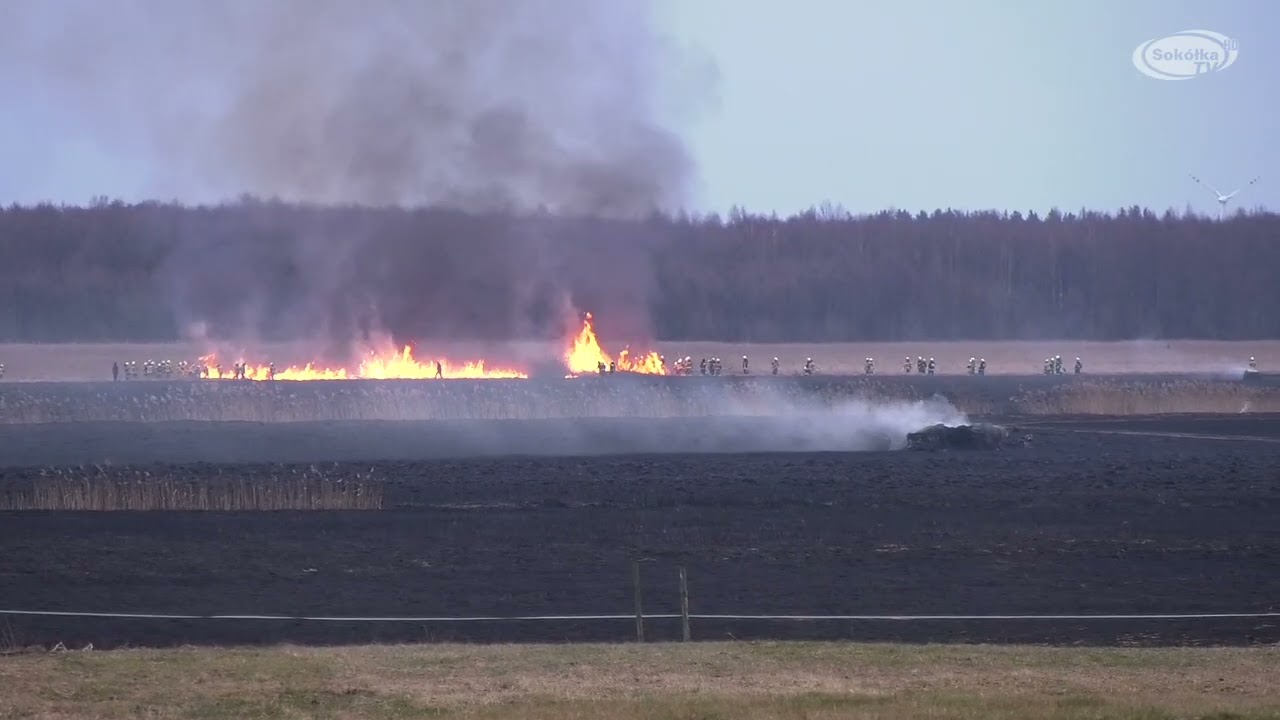 NA SYGNALE: Ponad 30 zastępów straży gasiło pożar trawy w okolicach Krasnegoboru/2025r.