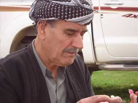 شكورخه یات مه قامی ئه ڵا وه یسی 