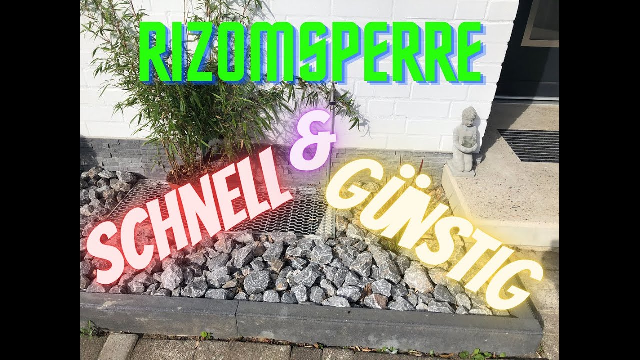 #Rhizomsperre [Bambus] gnstig selber machen.