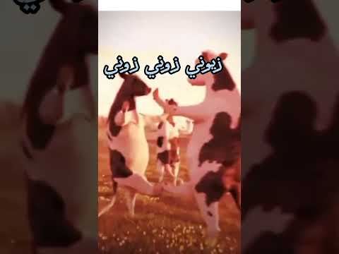 زيوني زوني زوني لايك واشتراك
