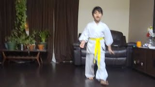 Shitoryu Karate