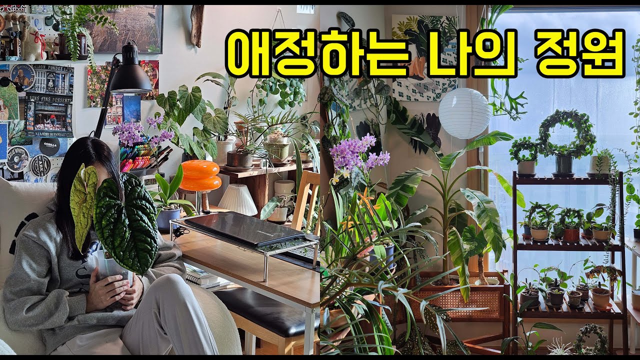 [식물방 투어] 올해 처음이자 마지막 식물방투어! 구경하실 분..?