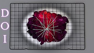 Muck DOI (Dye Over Ice) Experiment - Tie Dye