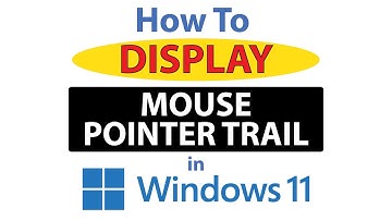 How To Display The Mouse Pointer Trail In Windows 11 👍