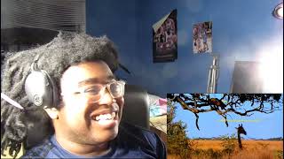 Are Giraffes OP -TierZoo Reaction