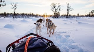 Northern Lights, Ice Hotels and Huskies