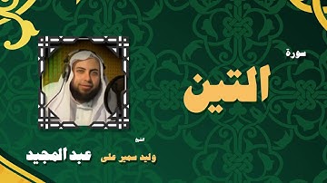 القران الكريم بصوت الشيخ وليد سمير على عبد المجيد | سورة التين