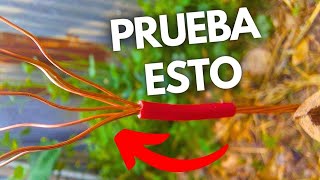 ⚡ Realizo una antena para ponerla a prueba - ELECTROCULTURA, ELECTROCULTIVO,  ⚡ [Parte 1].