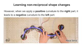 Supplementary Video S3 corresponding to the paper "Metamaterials that learn to change shape"