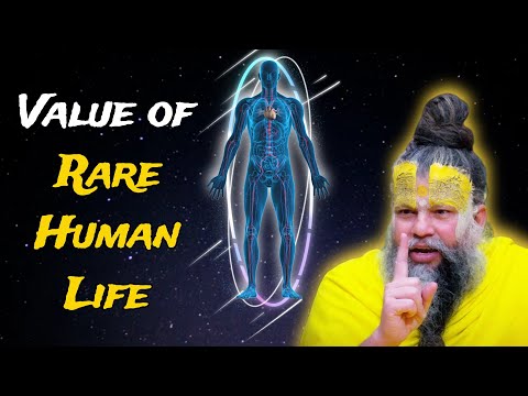 The Value of Rare Human Life @BhajanMarg @ShriHitRadhaKripa Shri Premanand ji Maharaj
