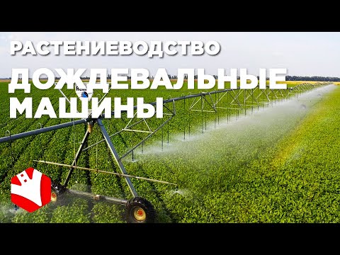 Видео: Кого означает орошение?