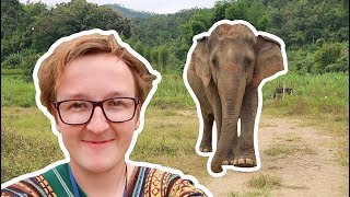 Elephants & Homesickness | The Travel Journal