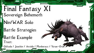 FFXI - Unity Sovereign Behemoth Ninja Solo w/ Trust