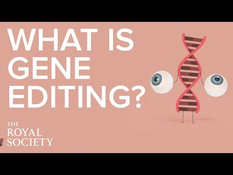 Bagaimana pengeditan gen memengaruhi masyarakat?