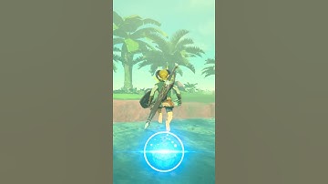 | Zelda BOTW | Ready to Start the Day!