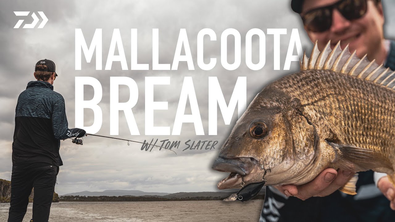 Bream Fishing Mallacoota 