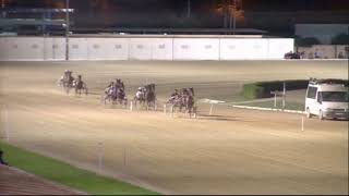 Vidéo de la course PMU PREMI DADDY T